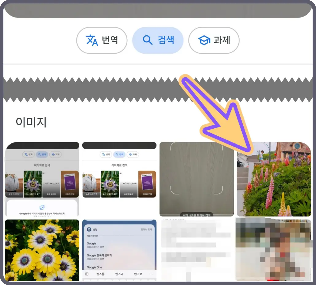 꽃-이름-찾기-방법-검색-어플