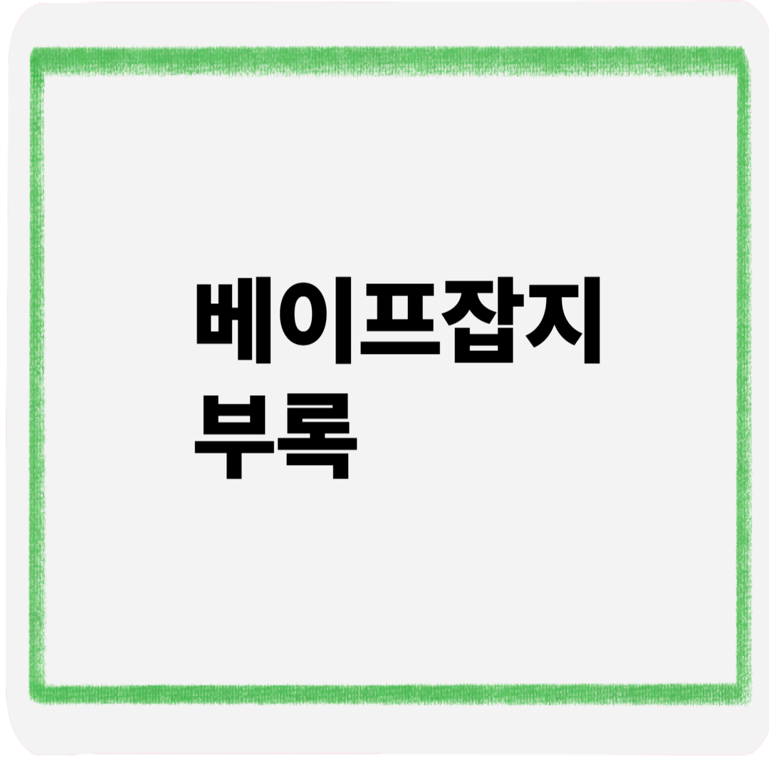 베이프잡지부록