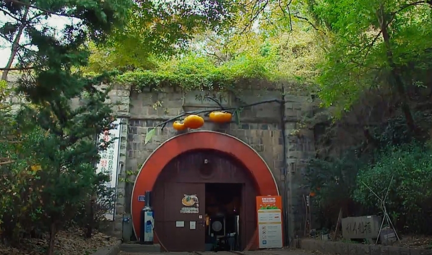 청도 가볼만한곳