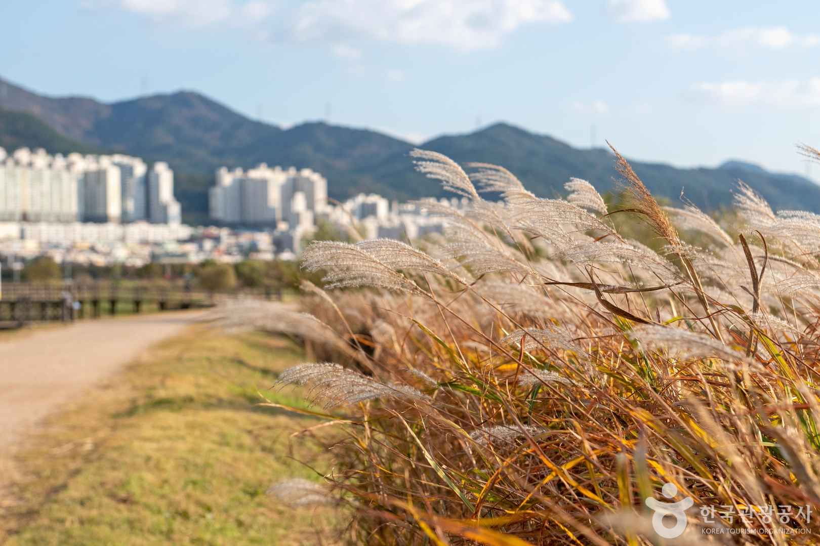 대저생태공원