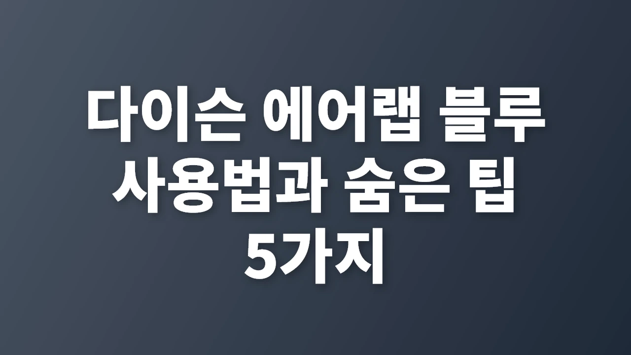 다이슨 에어랩 블루 사용법과 팁