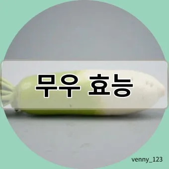 무우 효능 부작용 섭취 방법_11