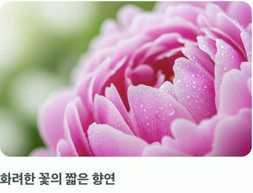 꽃이 져도 남는 우아함