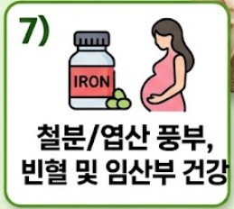 표고버섯 효능