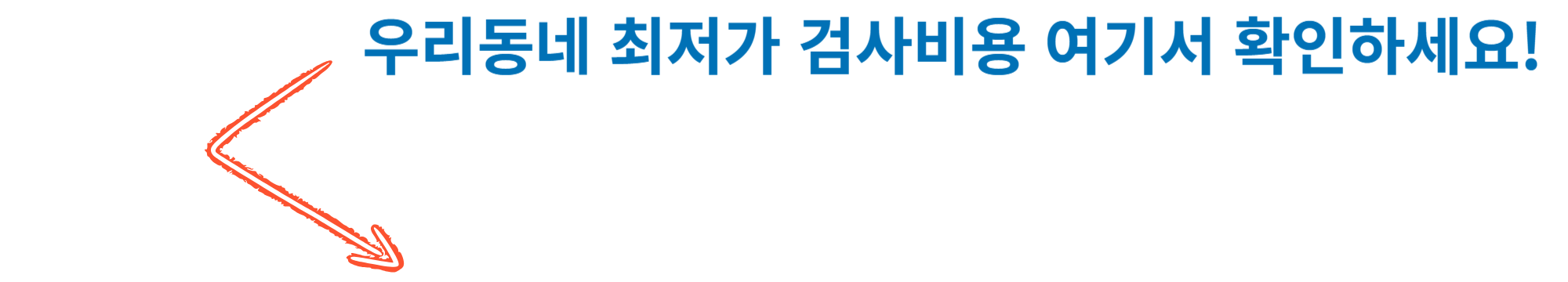 코로나 검사비용 사진