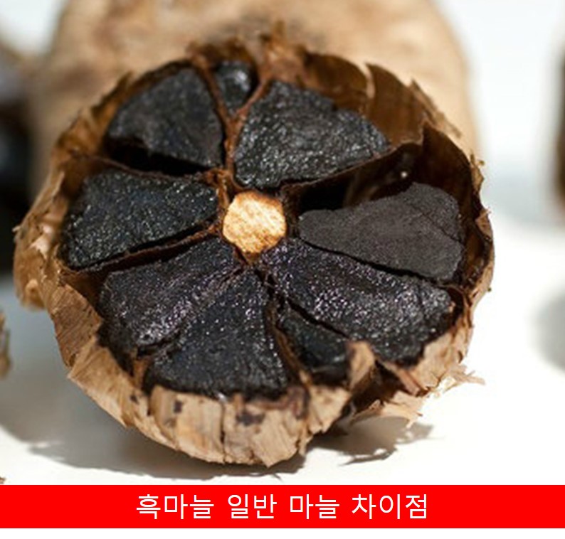 흑마늘 사진