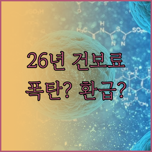 2026 건강보험료 정산 일정 및 모..