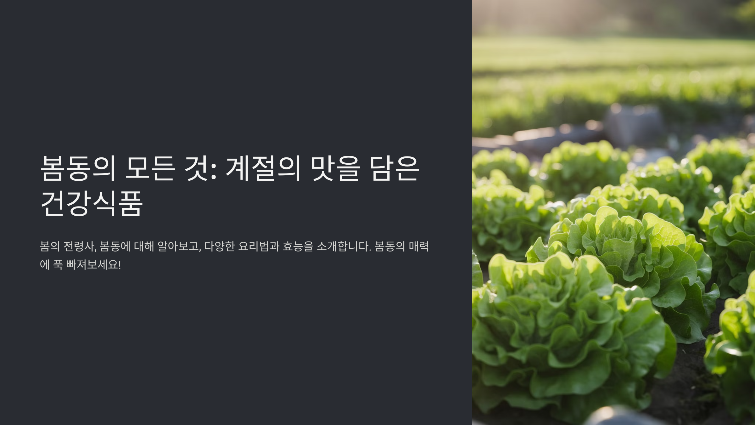 봄동 요리 레시피 모음