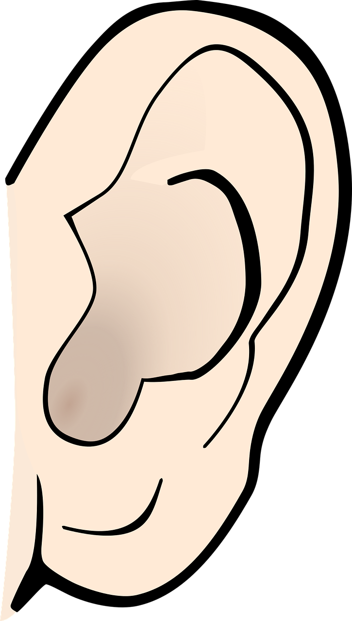 이명 치료 방법 