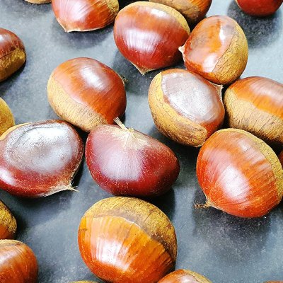 밤 효능