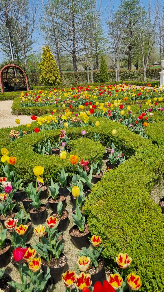 순천만국가정원 4월 튤립축제 포토존