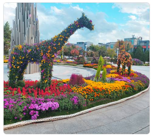 강원 세계산림엑스포