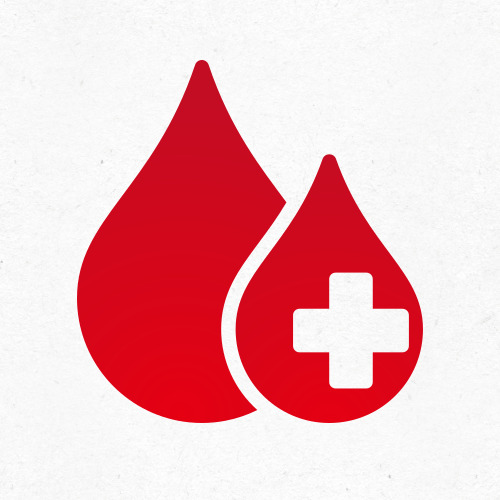 채소와 단백질 중심 식단 예시 이미지