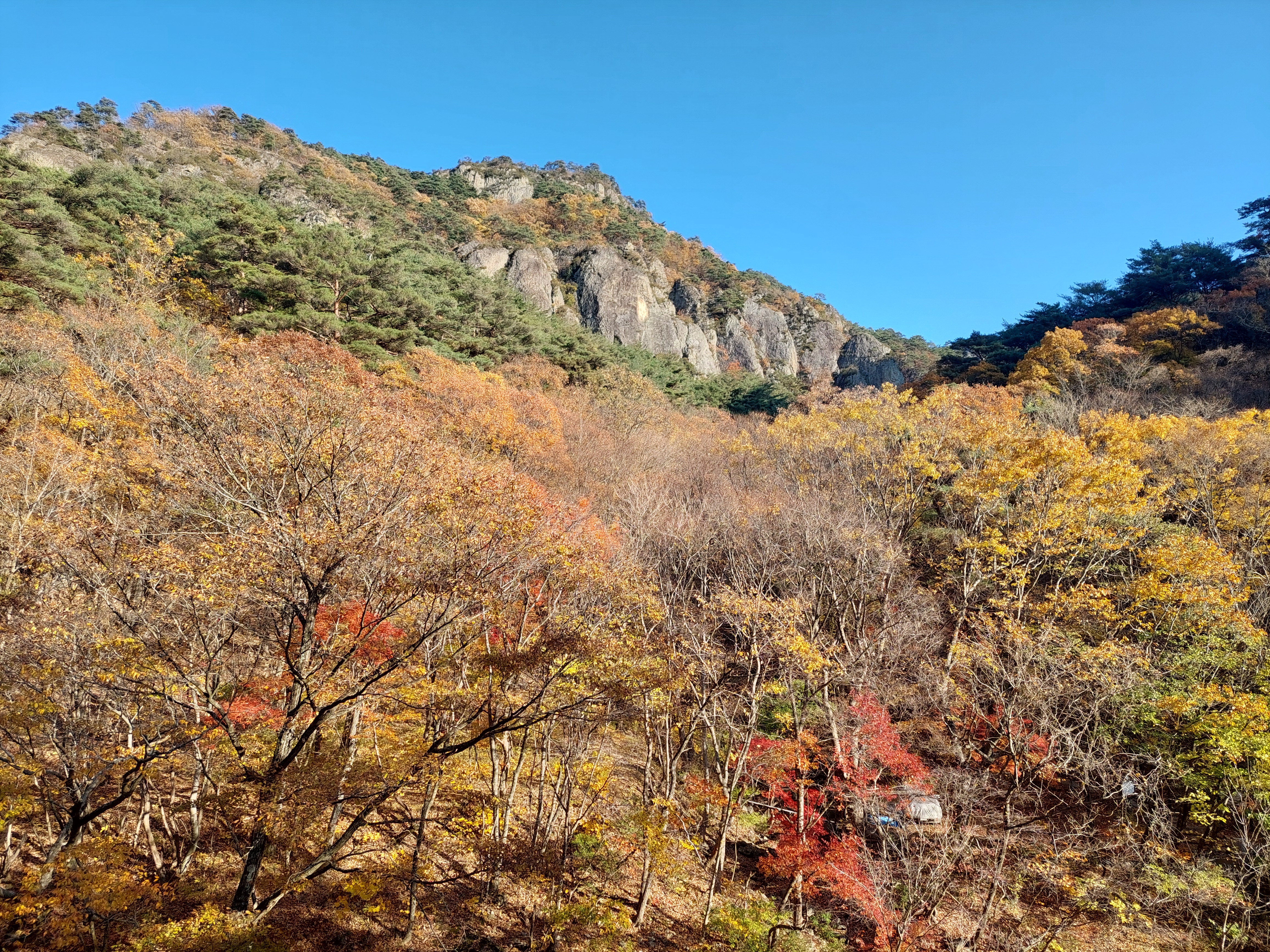 주왕산