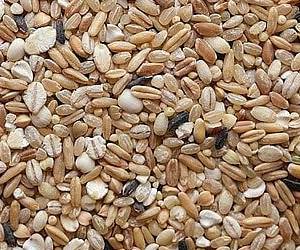 혈관에 좋은 음식 현미