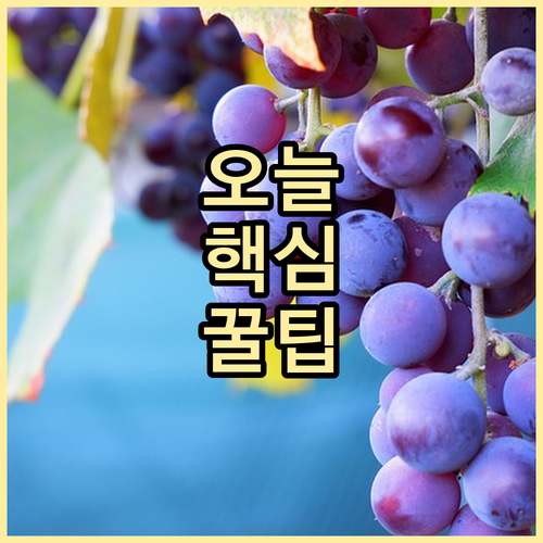 혈액 속 콜레스테롤과의 전쟁 고지혈증