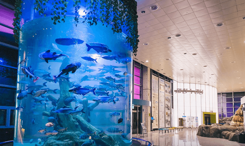 섬진강어류생태관 이미지