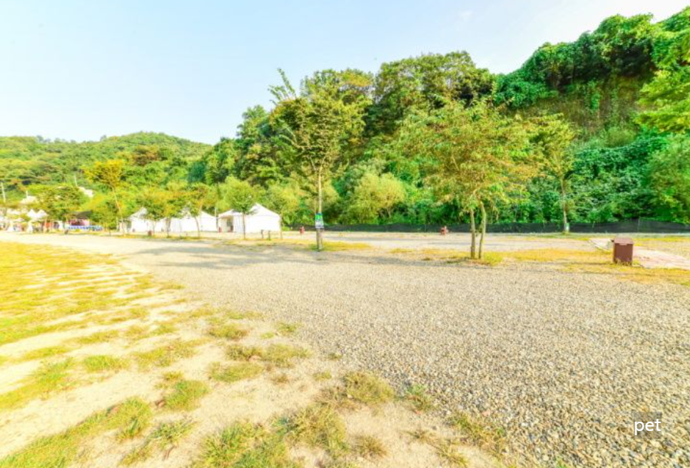 경기-연천-물꽃캠핑장-예약-방법-애견-동반-가격-주소-시간-후기