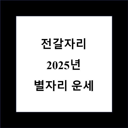 전갈자리 2025년 별자리 운세 제목 상자