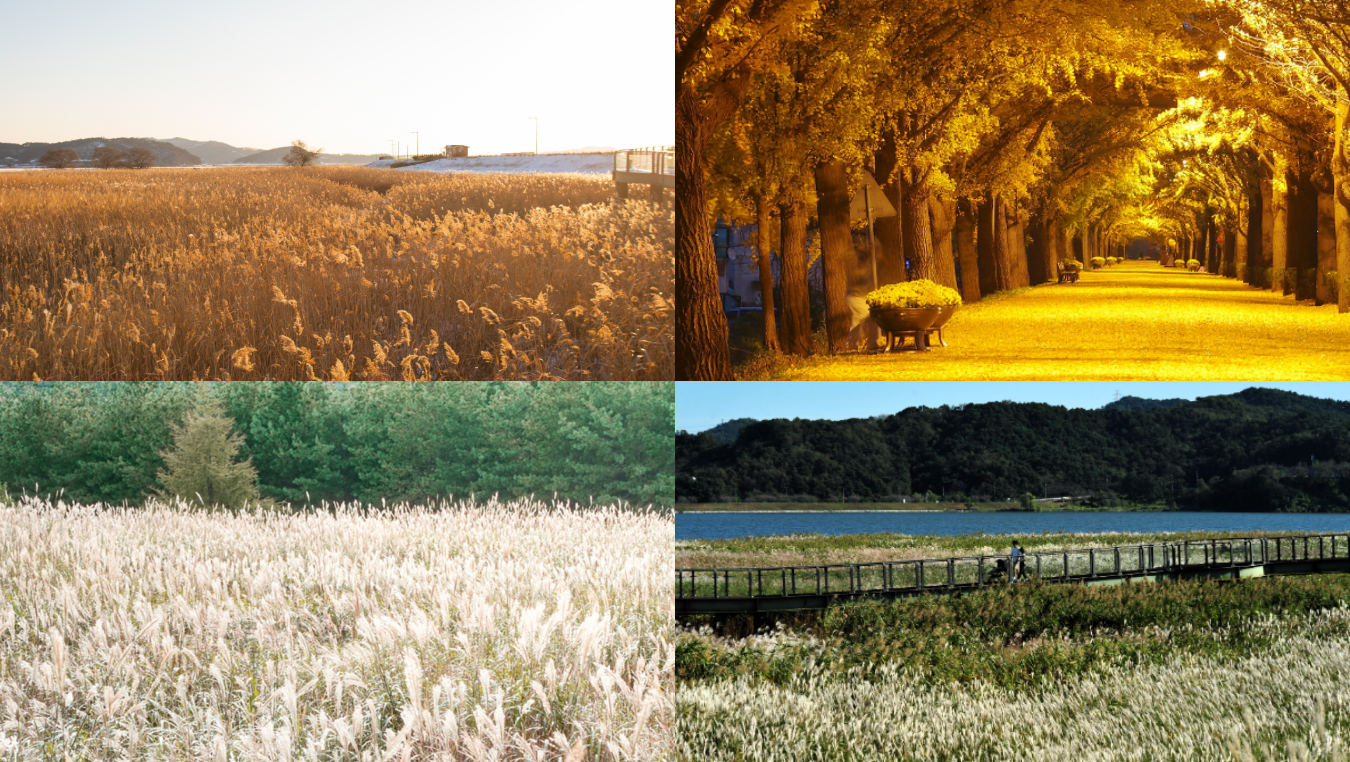 가을 여행지 추천