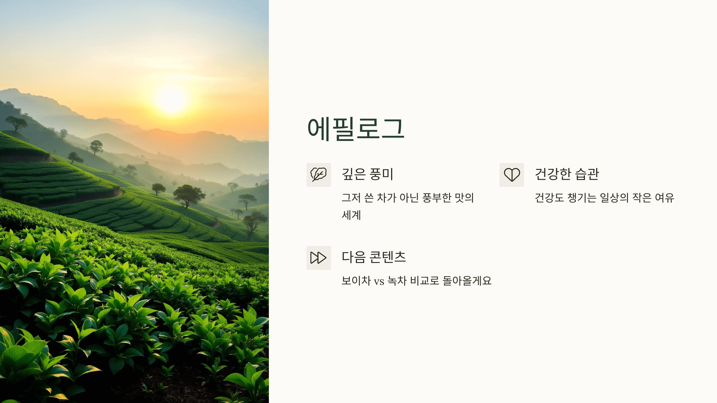 보이차 사진입니다.