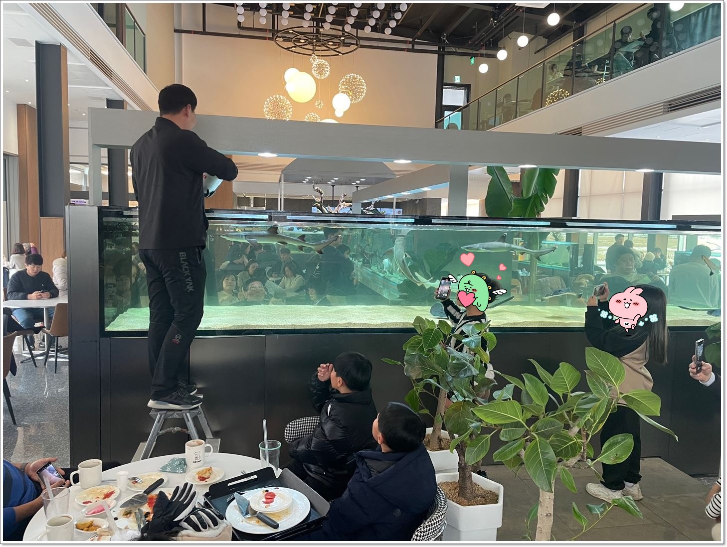 수족관-아기상어-가오리-먹이주는남자