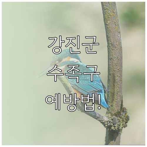 강진군 수족구병 진료 가능한 곳과 예..
