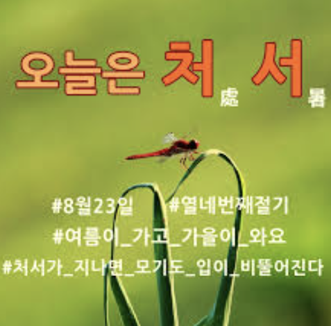 처서의 뜻과 유래