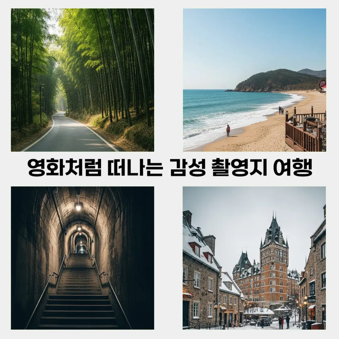전남 담양의 푸른 대나무 숲길, 강릉 안목해변의 잔잔한 파도와 해변 카페, 서울 자하문 터널의 어두운 계단, 그리고 캐나다 퀘벡의 눈 덮인 올드타운과 고풍스러운 건물들이 각각의 구역에 배치되어 있습니다.