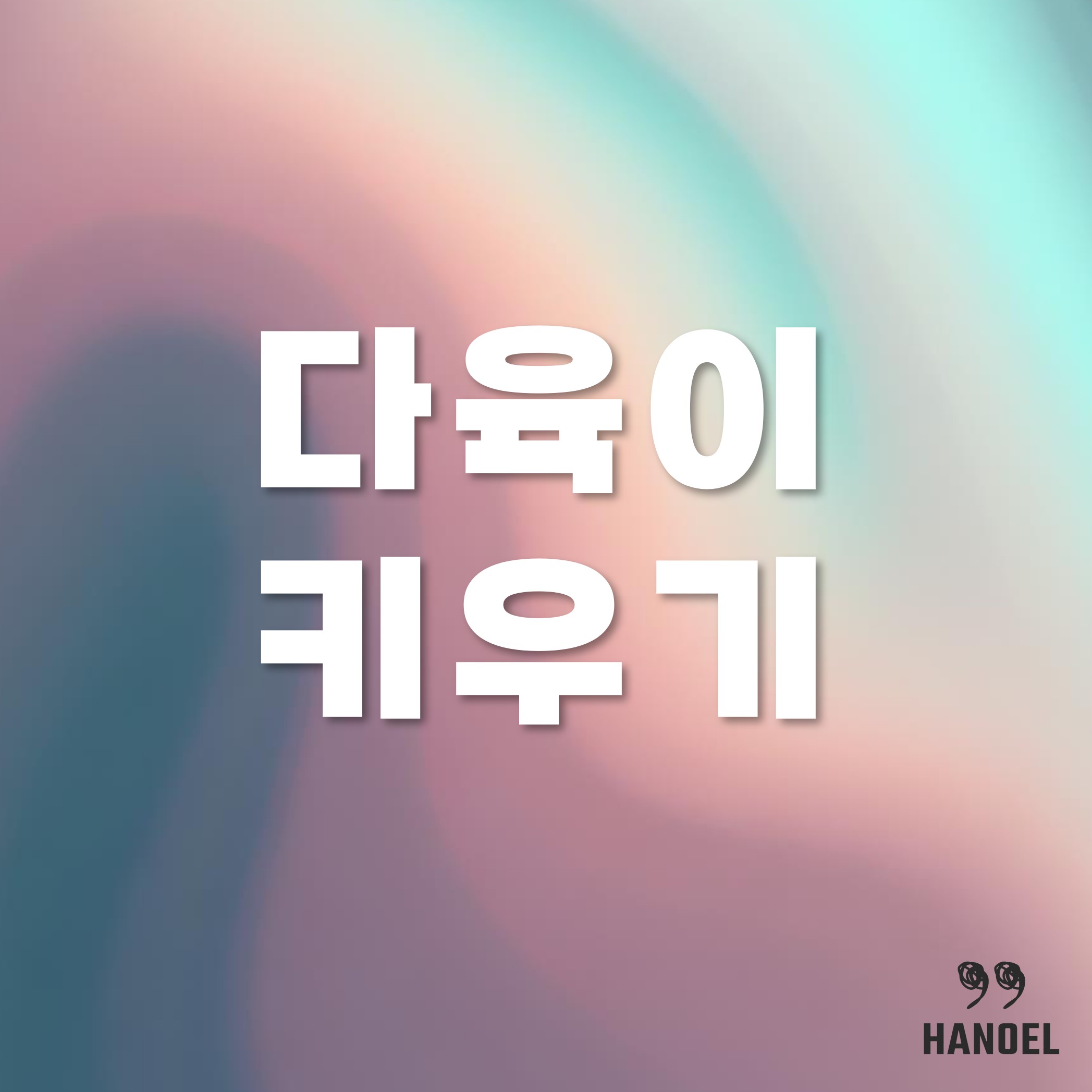 다육이 키우기