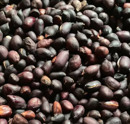 손발이 차가울때 먹는 음식