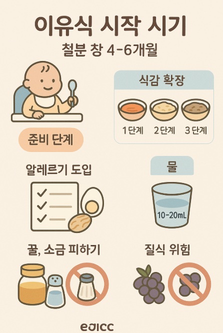 이유식 시작 시기와 단계별 설계