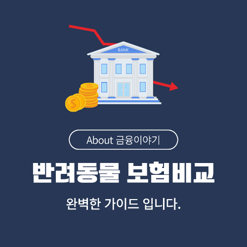 반려동물 보험 비교 내 반려견·반려묘에게 맞는 최적의 보험 선택하기