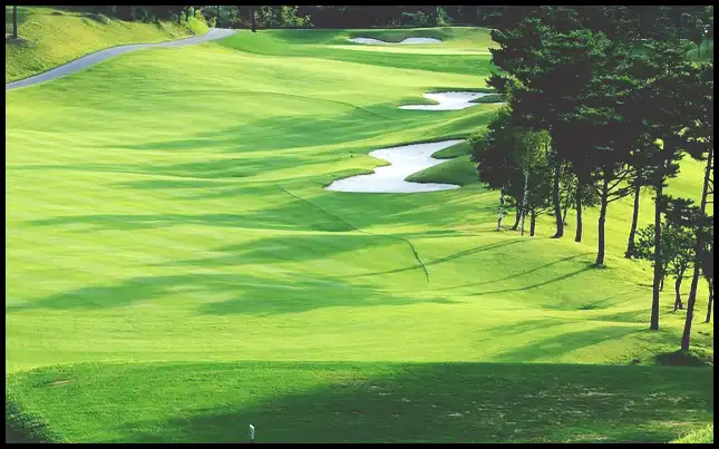 파크골프 경기규칙 (+ ob처치 방법 )