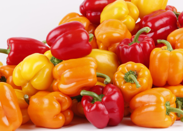 영양제 대신 먹는 음식 TOP10