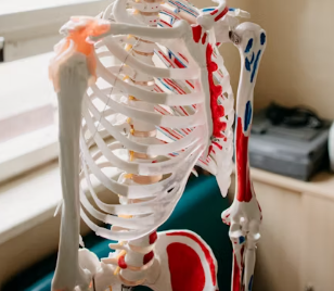 통풍 치료법 진단 기준 합병증