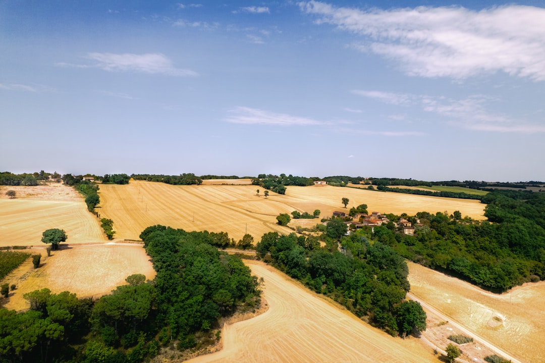 Farmland