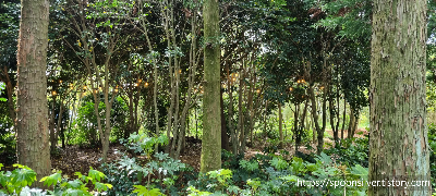 제주스누피가든