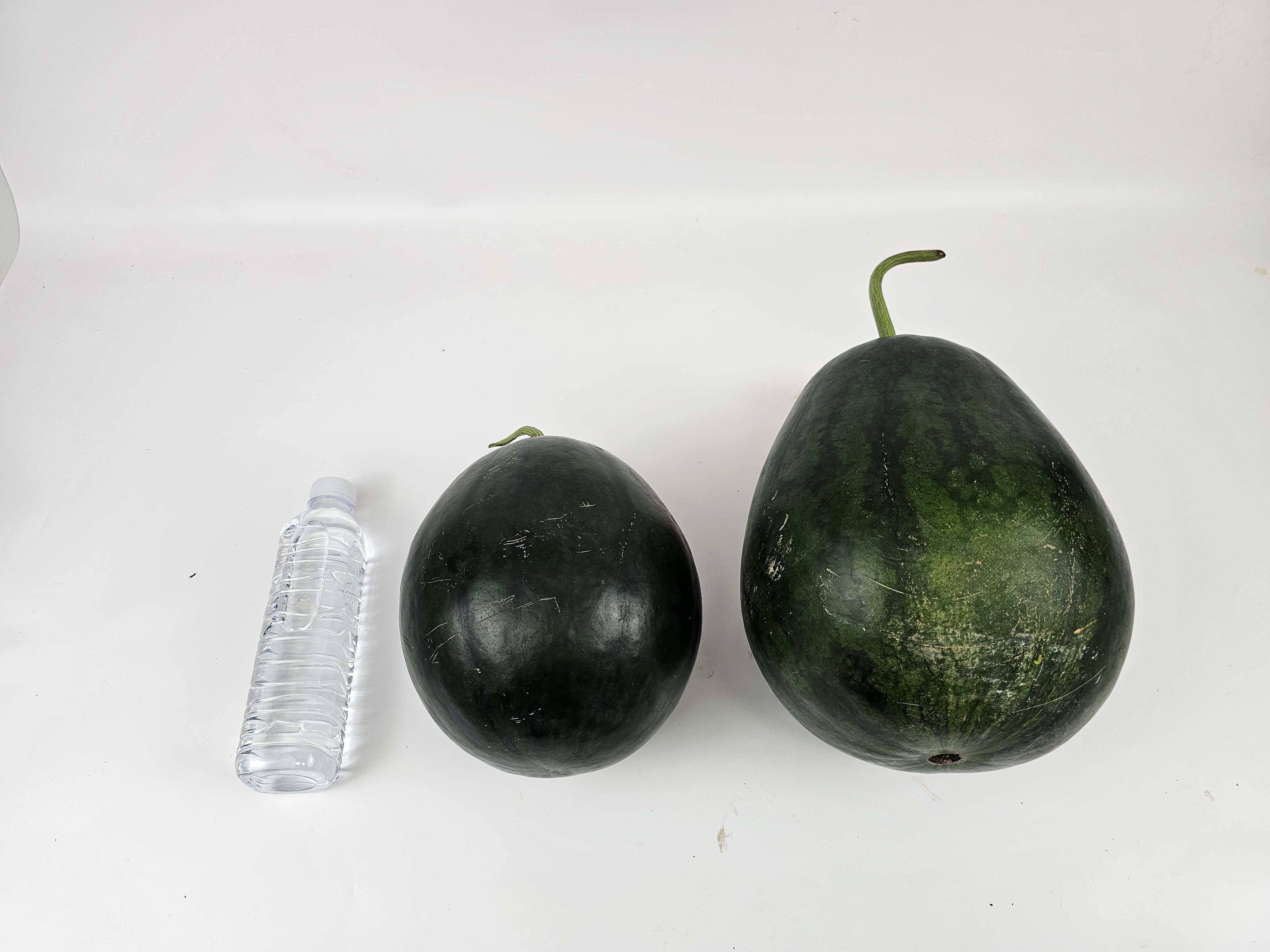 흑수박 건강