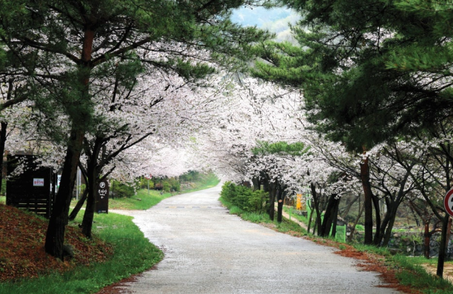 국립자연휴양림