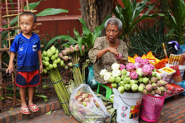 가르시니아캄보지아란?