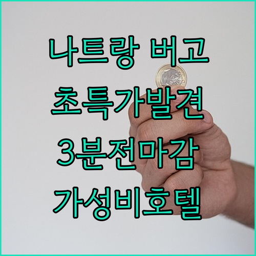 나트랑 버고 호텔 초특가 발견! 3분..