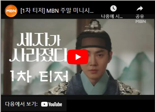 MBN 주말 미니시리즈 세자가 사라졌다 등장인물 매력 포인트