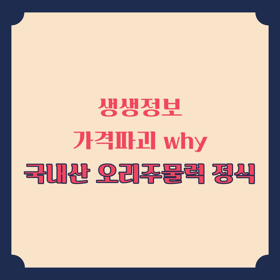 생생정보 가격파괴 why 국내산 오리주물럭 정식 9000원