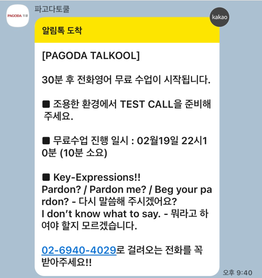 파고다토쿨 내돈내산