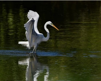 인터넷 전입신고 필요서류
