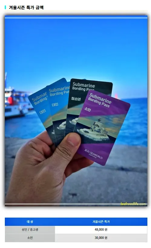 티스토리-사진-오류-현상-해결된-모습