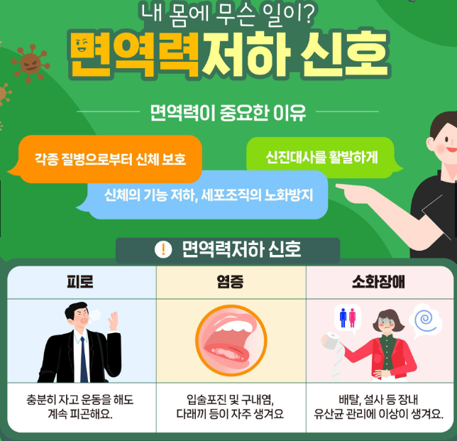 면역력 강화