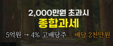 미국주식-배당소득세