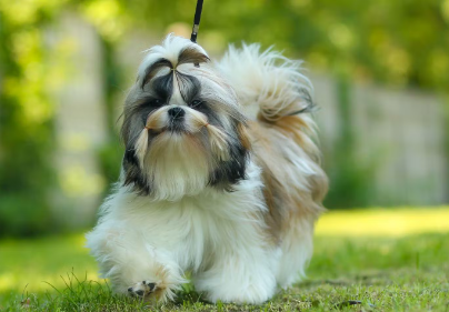 다이어트 방법.